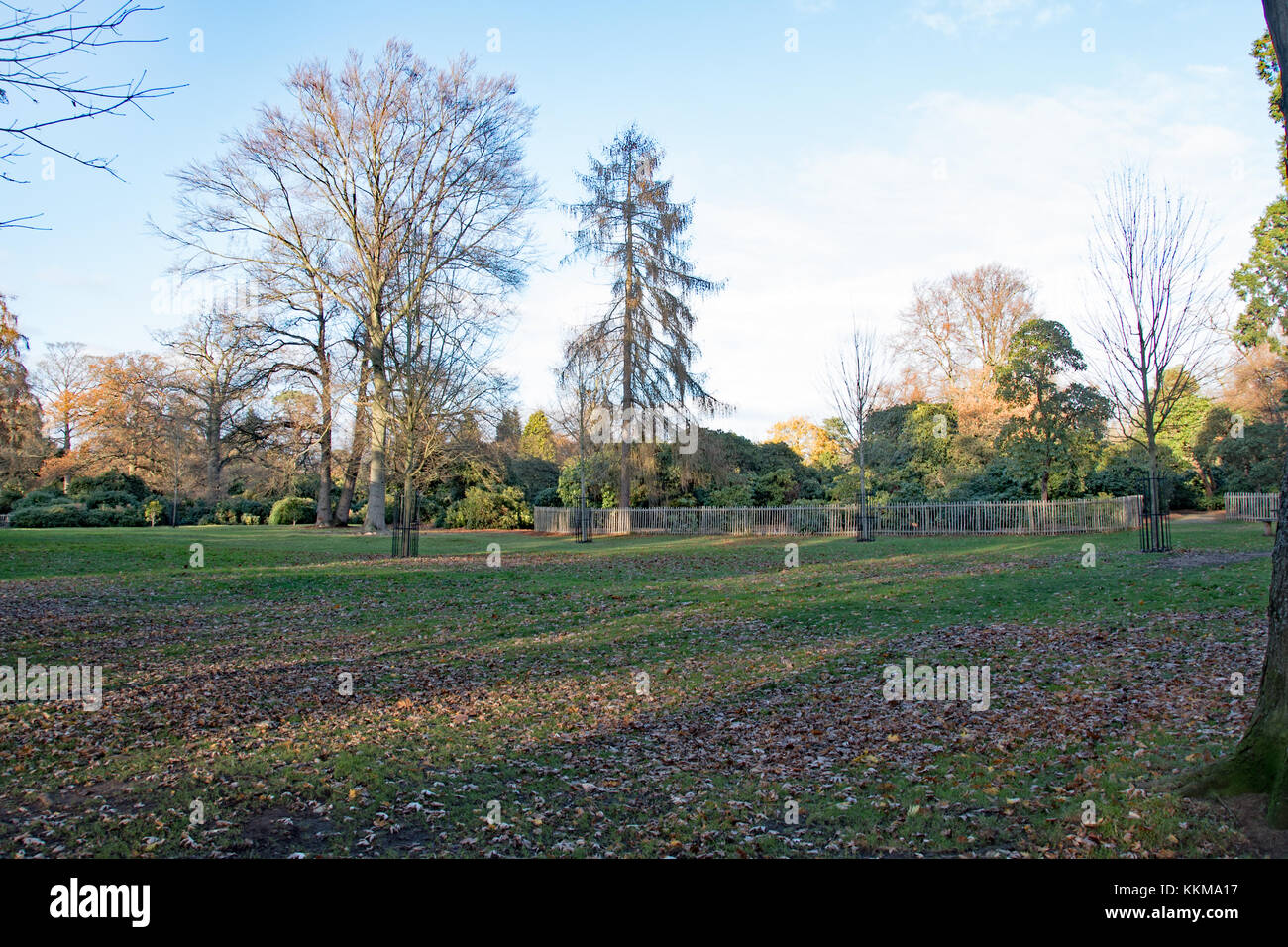 Langley Park Country Park, España Banque D'Images