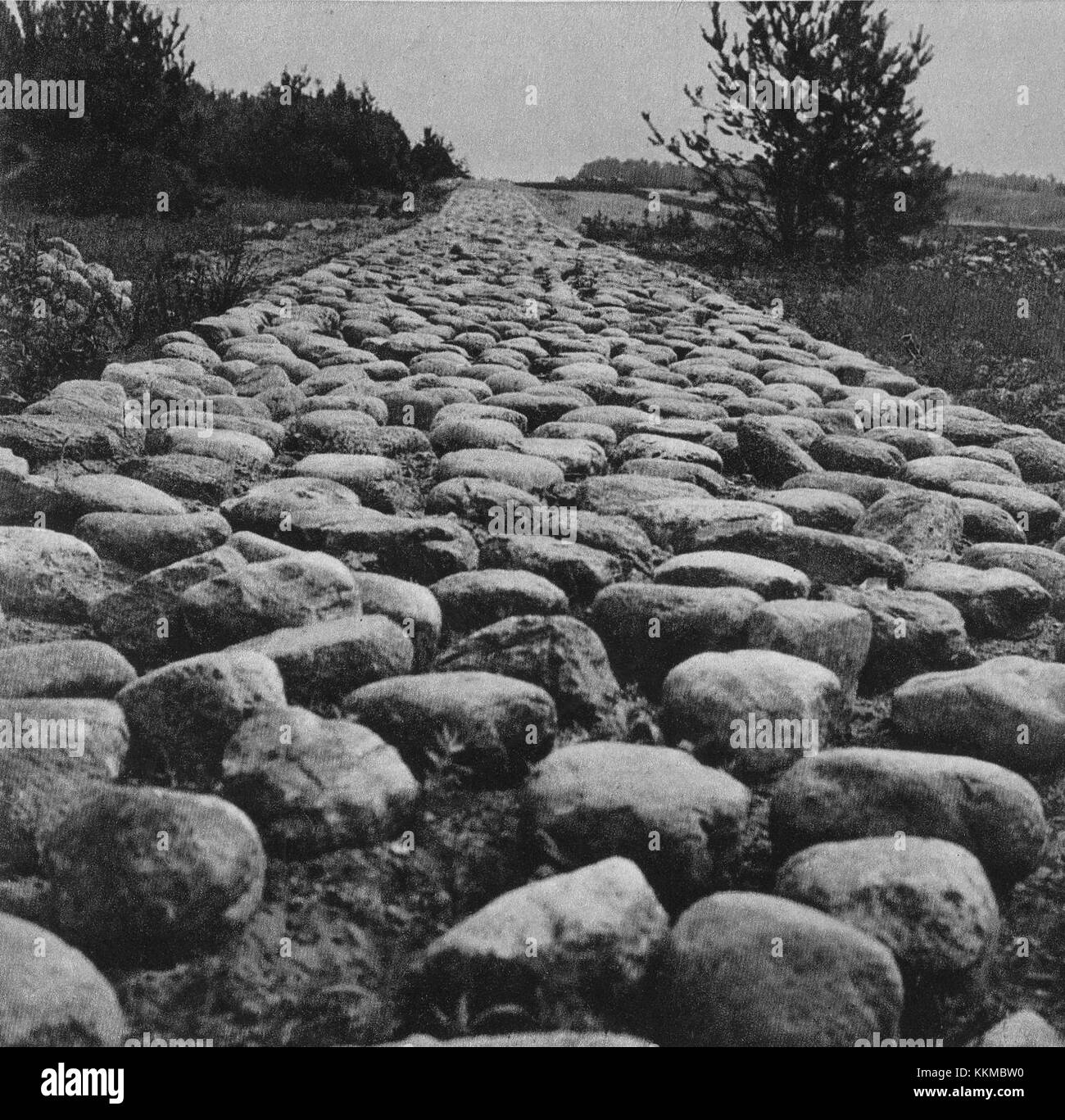 Un fragment du monument de Treblinka, datant des années 1960, sert de mémorial aux victimes du camp d'extermination de Treblinka pendant l'Holocauste. C'est une pièce historique importante. Banque D'Images
