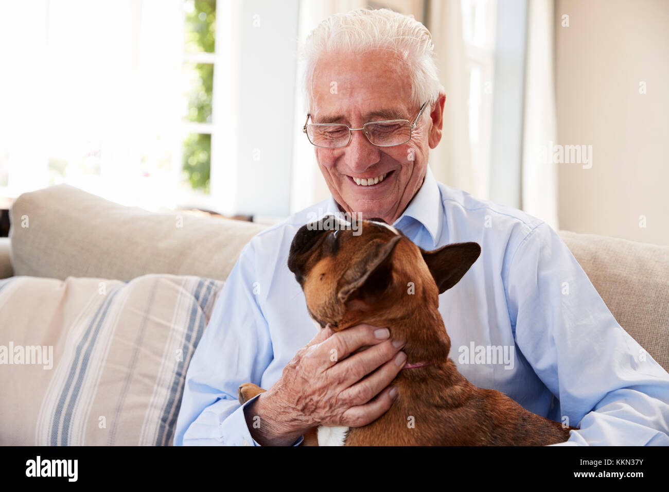 Senior Man Sitting on Sofa At Home With Pet Bouledogue Français Banque D'Images
