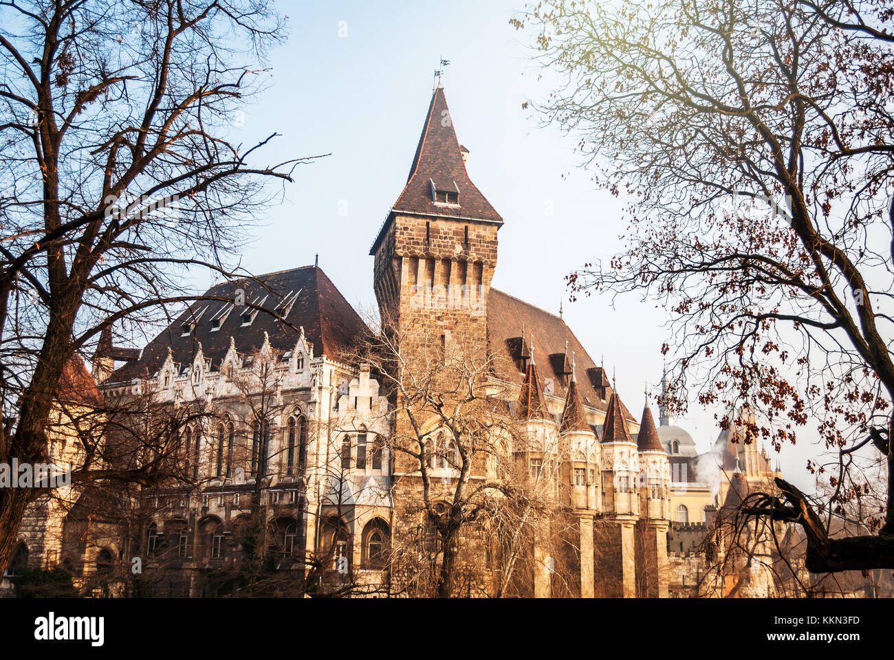 Château de Vajdahunyad à Budapest la capitale de la Hongrie l'Europe, parties et des fragments d'architecture avec une façade Banque D'Images