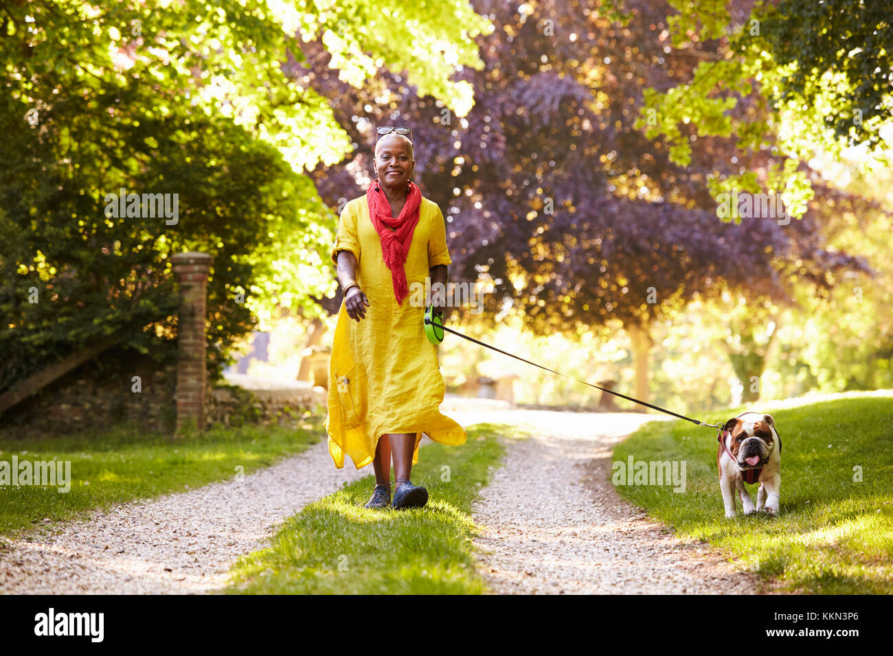 Portrait of Senior Woman Walking Dog Pet In Countryside Banque D'Images
