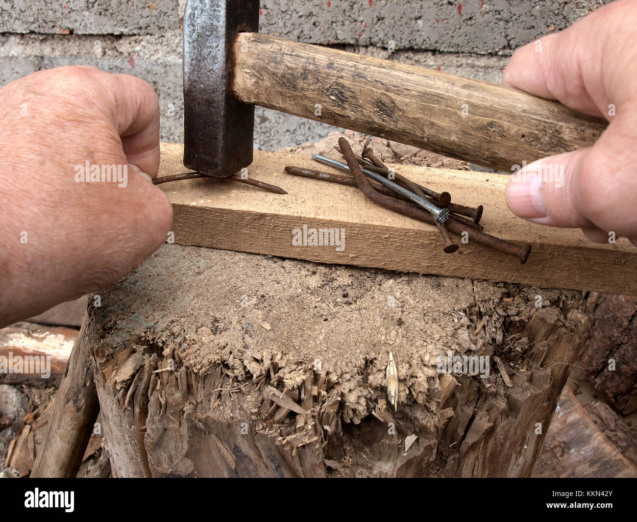 Mains ongles incurvés de redressage avec chien sur planche de bois comme enclume Banque D'Images