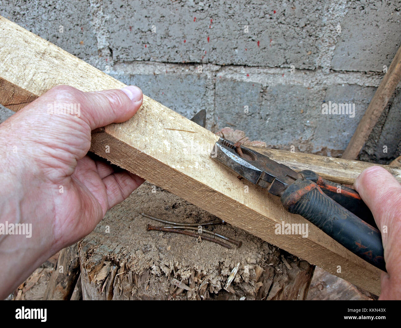 En tirant avec une pince à ongles de planche de bois Banque D'Images
