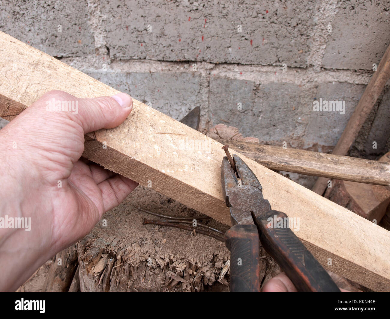 En tirant avec une pince à ongles de planche de bois Banque D'Images
