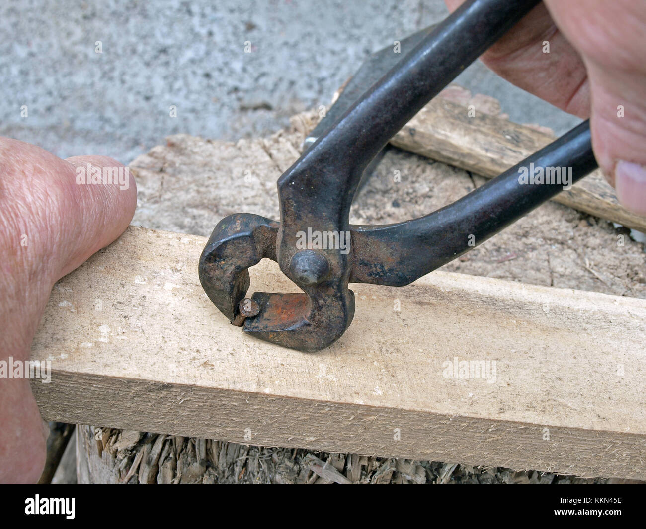 Tirant l'ongle avec une pince rouillée vieille de planche de bois Banque D'Images