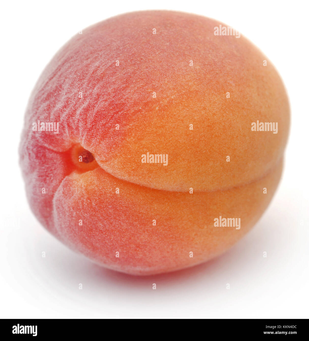 Abricot frais sur fond blanc Banque D'Images