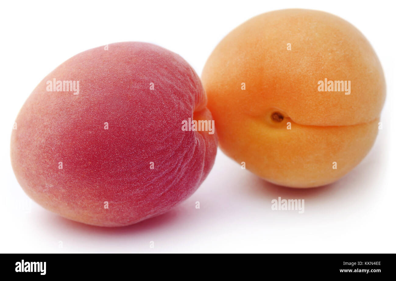 Abricots frais sur fond blanc Banque D'Images