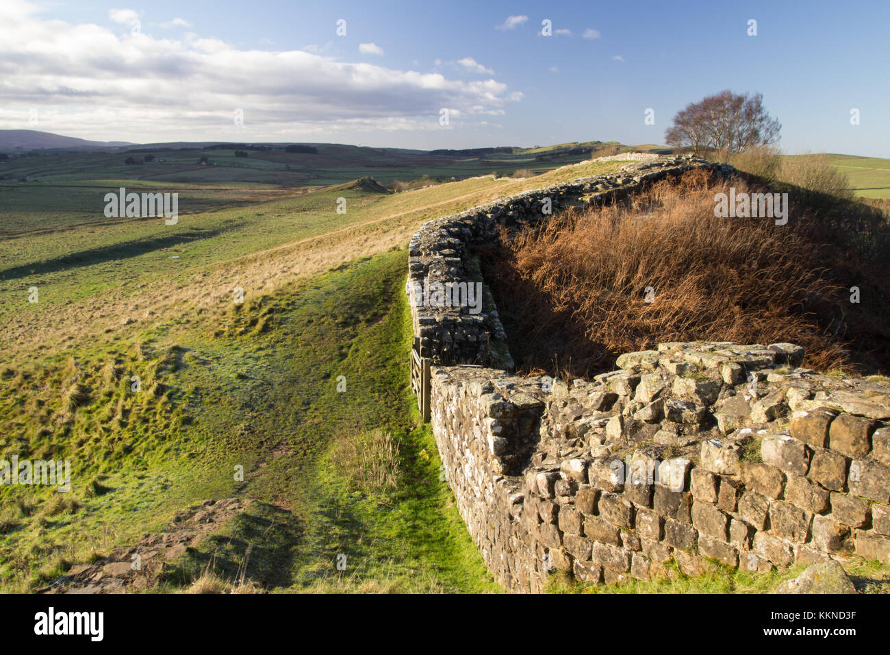 Mur d'Hadrien à Cawfields, Northumberland Banque D'Images