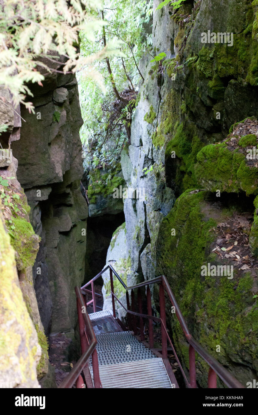 Vues intérieur Scenic Caves Nature Adventures, Collingwood, Ontario. à pied jusqu'à une grotte. Banque D'Images