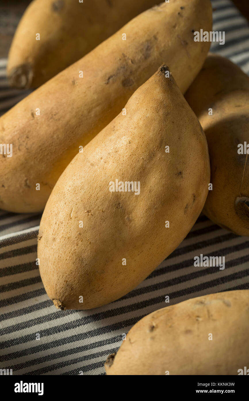 Blanc biologique brut prêt à cuire les patates douces Banque D'Images