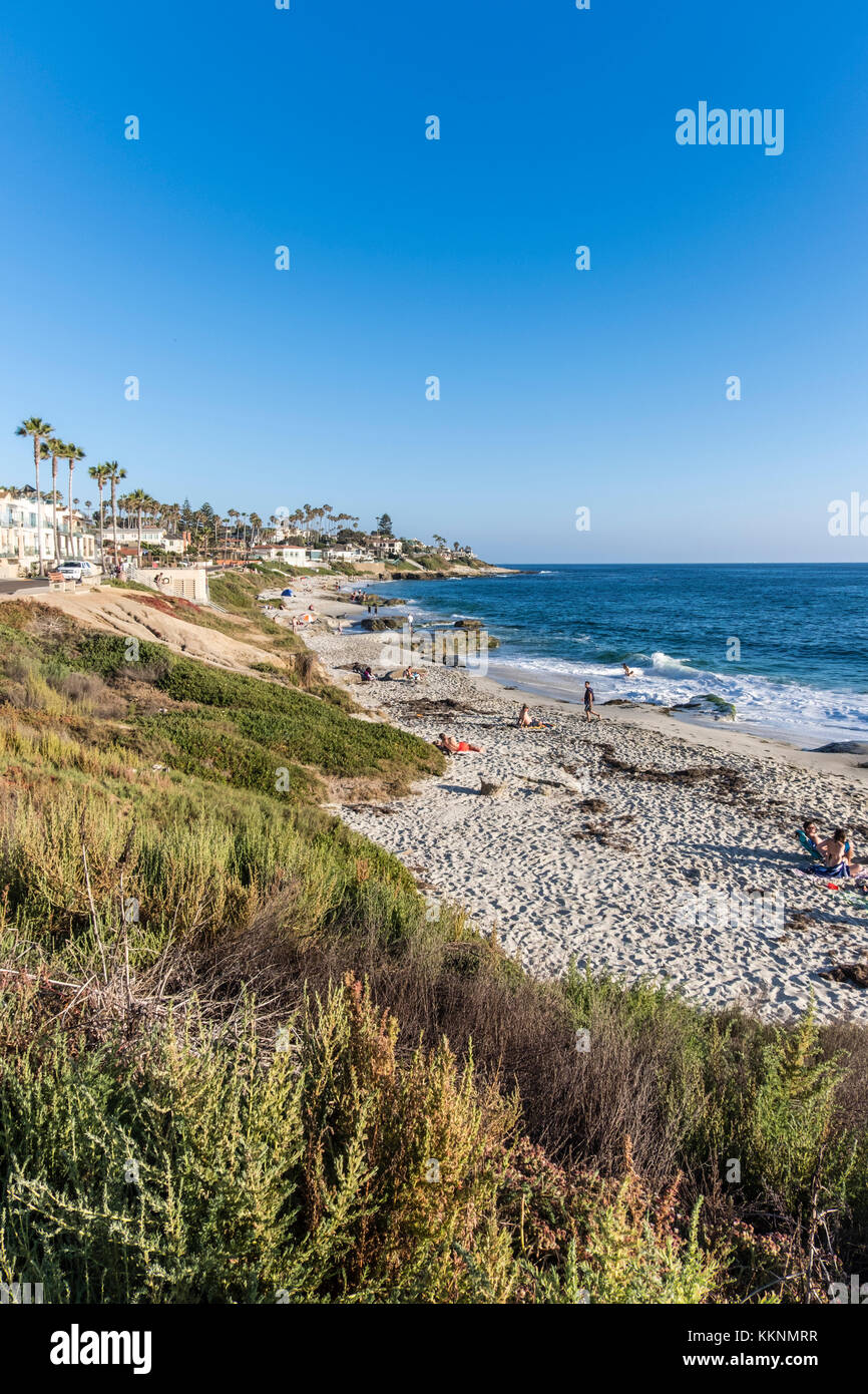 Magnifique plage, plage de Windansea, La Jolla, San Diego, California, USA Banque D'Images
