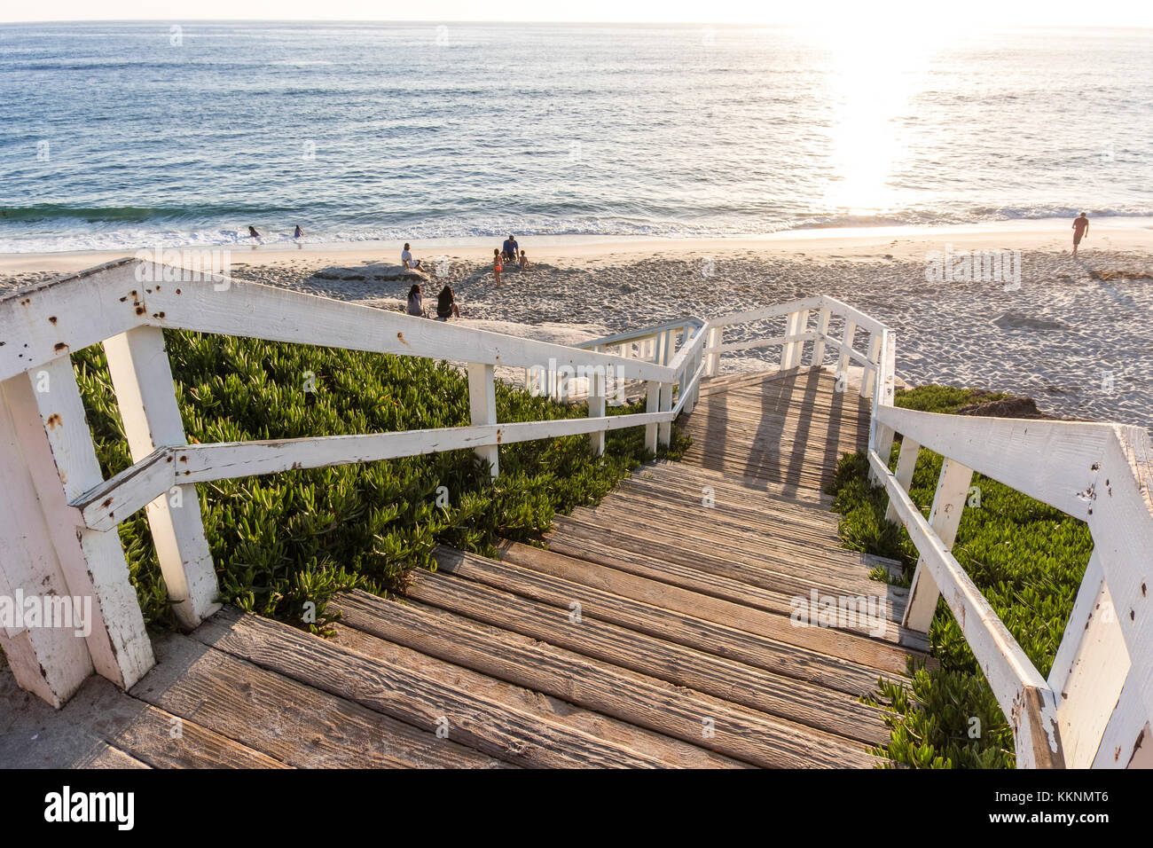 Magnifique plage, plage de Windansea, La Jolla, San Diego, California, USA Banque D'Images