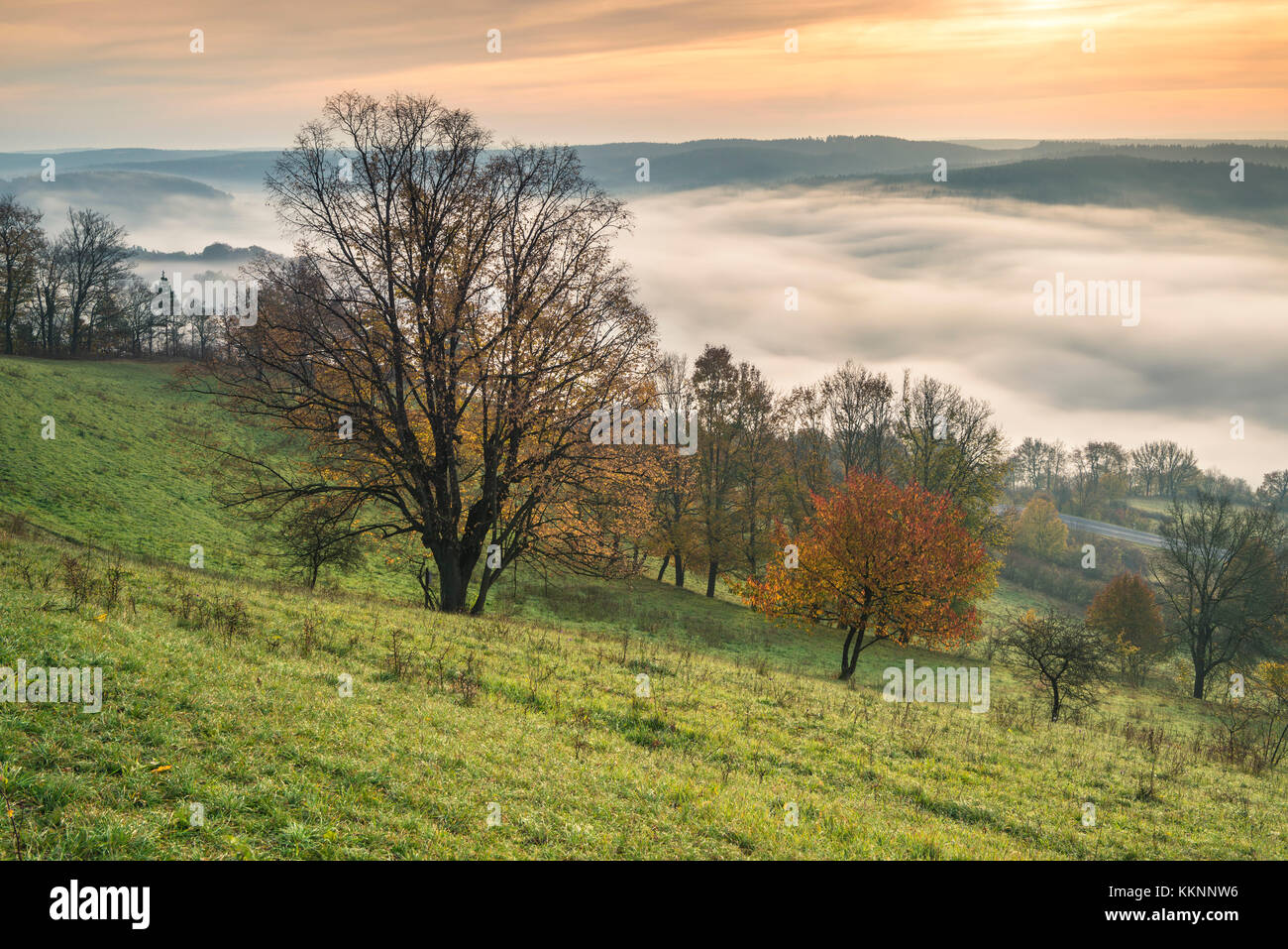 Brouillard matinal au-dessus de la vallée de Saale, Leuchtenburg, Seitenroda, Kahla, Thuringe, Allemagne Banque D'Images