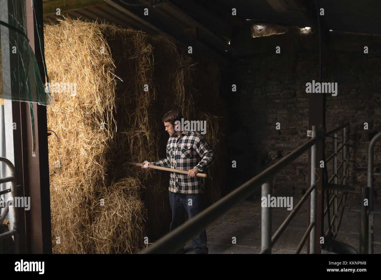 Farmer working in barn Banque D'Images