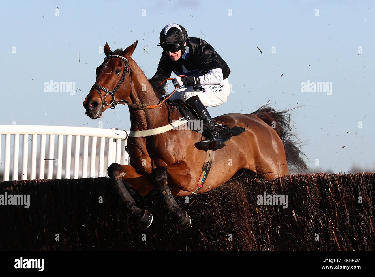 Bigmartre monté par Harry Bannister avant de remporter le Ladbrokes Steeple Chase durant la première journée de l'hiver Le Ladbrokes Carnival à Newbury. Banque D'Images