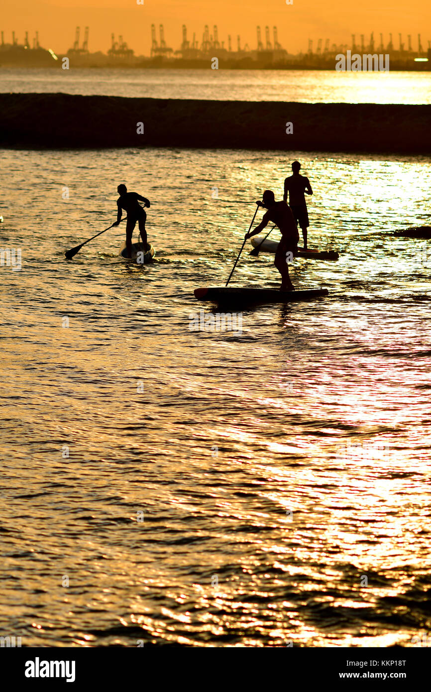 Le Stand Up Paddle Surf et Stand Up Paddle (SUP) Banque D'Images