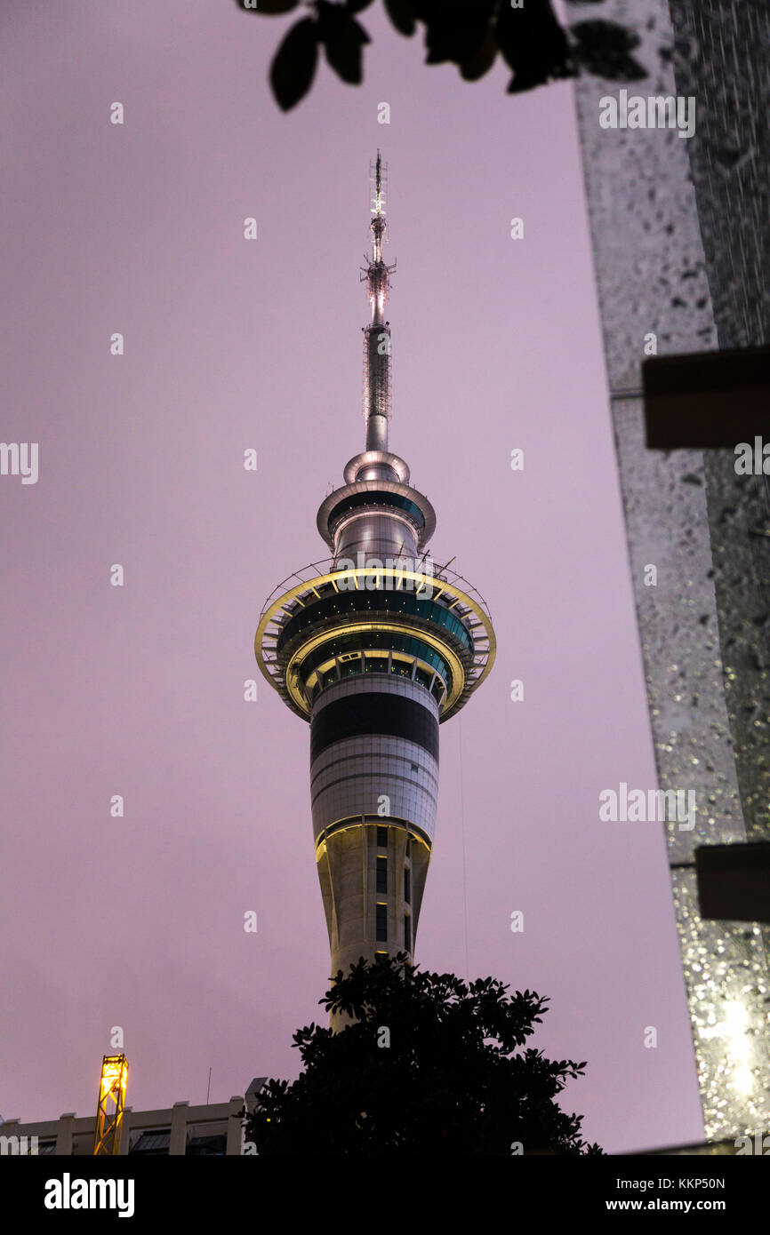 La Sky Tower à Auckland, Nouvelle-Zélande Banque D'Images