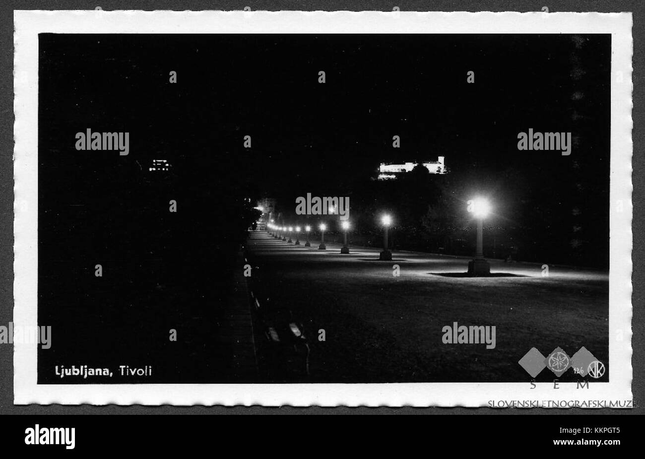 Cette carte postale capture le parc Tivoli de Ljubljana, Slovénie, la nuit. Le parc est un espace vert majeur de la ville, connu pour ses beaux paysages, ses sentiers pédestres et son atmosphère sereine. L'image met en valeur le charme nocturne du parkâ€™, mettant en valeur son environnement tranquille et ses caractéristiques lumineuses. Banque D'Images