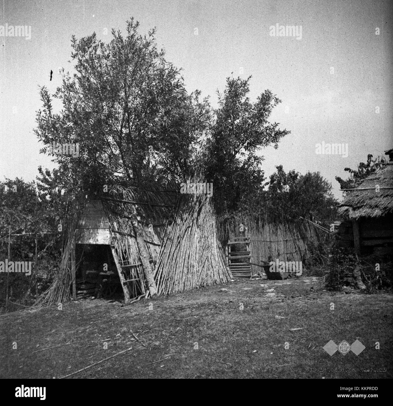 Cette photographie montre un wagon de train d'époque, faisant partie de la série 1950 de Sabadini, capturant le design et la fonctionnalité du transport ferroviaire du milieu du XXe siècle en Europe. Banque D'Images