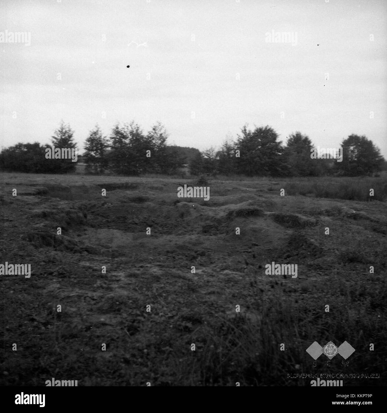 Na grobeljski gmajni, kjer kopljejo glino za lunch 1952 Banque D'Images