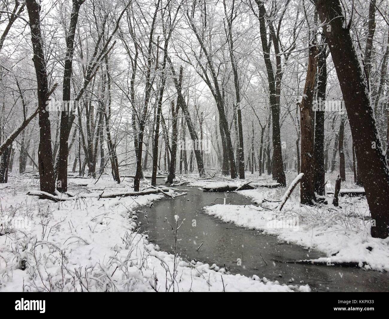 Snow entoure une rivière à Horseshoe Bend dans le port louisa National Wildlife Refuge en hiver 19 décembre 2016 près de wapello, Iowa. (Photo de jessica bolser via planetpix) Banque D'Images