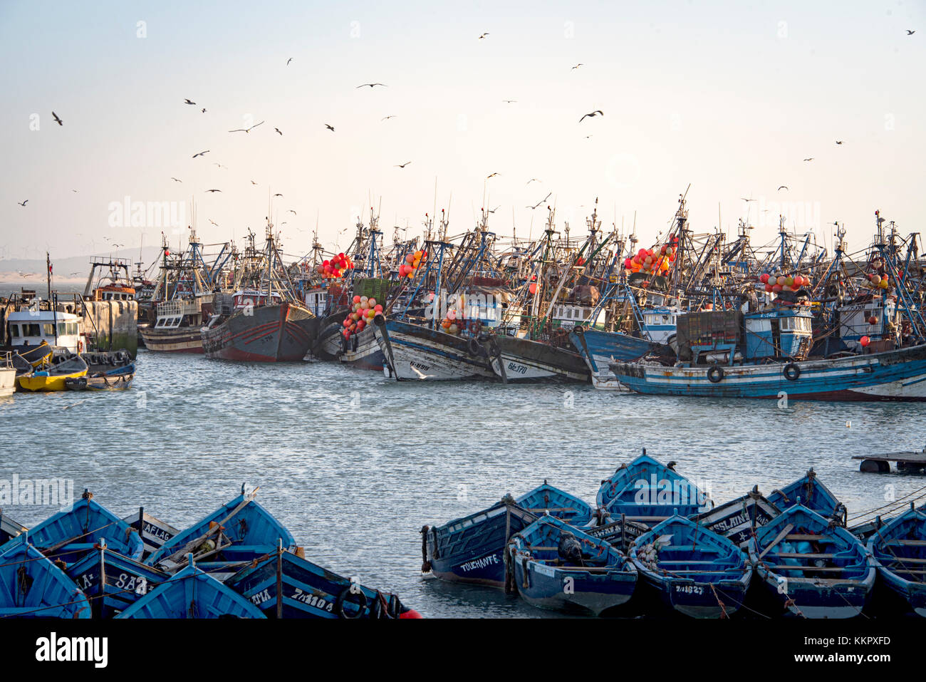 Essaouria, Maroc - septembre 2017 : bateaux de pêche ou toutes tailles amarrés dans le port Banque D'Images