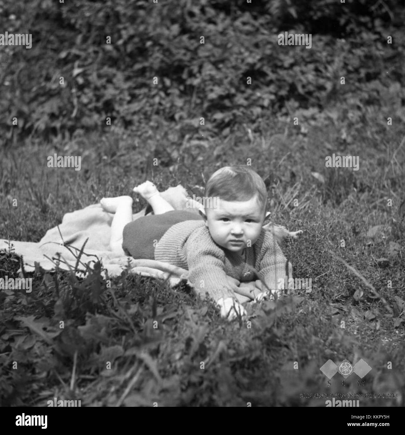 Une photographie historique de 1954 de Ravne, située dans la région du Franc. L'image montre le paysage rural, l'activité agricole et le mode de vie traditionnel au milieu du XXe siècle. Banque D'Images Une photographie historique de 1954 de Ravne, située dans la région du Franc. L'image montre le paysage rural, l'activité agricole et le mode de vie traditionnel au milieu du XXe siècle. Banque D'Images
