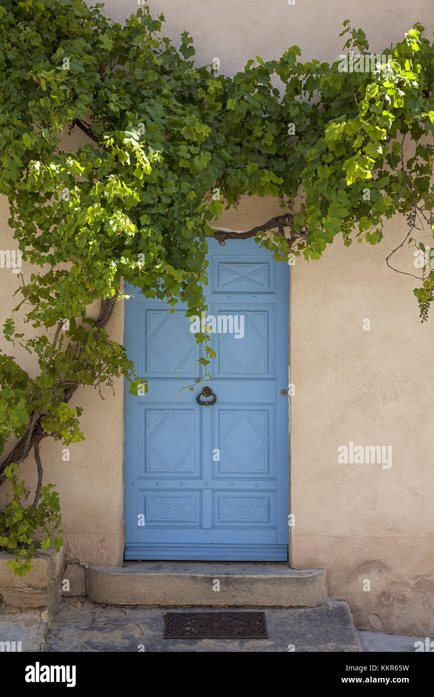 Vin sauvage sur le vieux mur d'une maison, la Provence, le sud de la France Banque D'Images