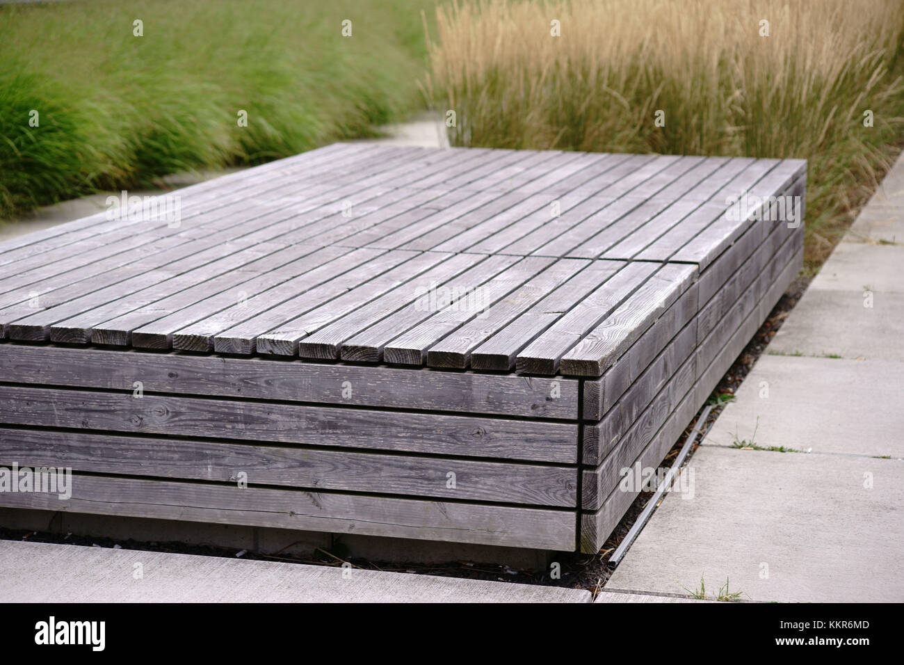 Un banc angulaire et moderne fait de planches de bois se trouve dans un jardin japonais entouré de Reed et de l'herbe. Banque D'Images