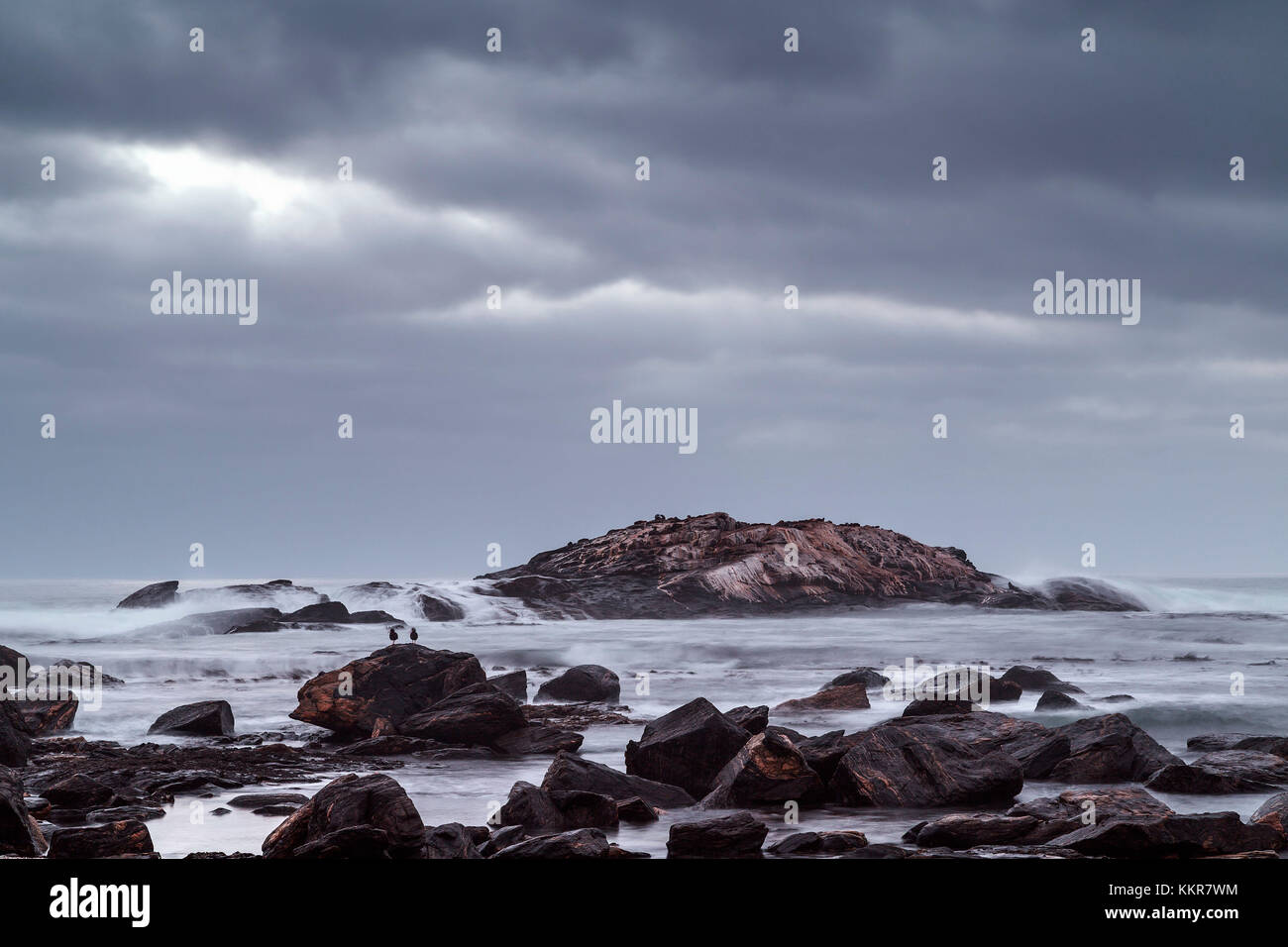 Dias point, luderitz, Namibie, Afrique Banque D'Images