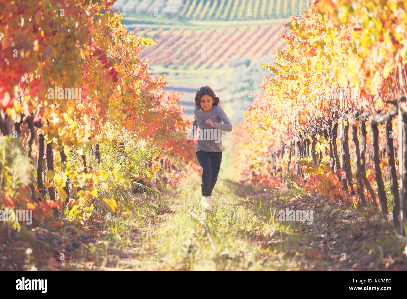 L'Europe, l'Italie, l'Ombrie, Pérouse, district de Montefalco. Vignes en automne Banque D'Images