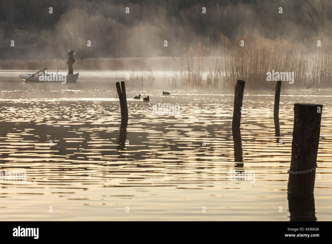 Les pêcheurs sur les rives du lac, alserio, alserio, province de Côme, la Brianza, en Lombardie, Italie, Europe Banque D'Images