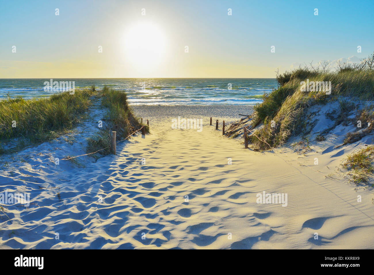 Sentier Du Littoral Trop Plage Avec Soleil été Darss West