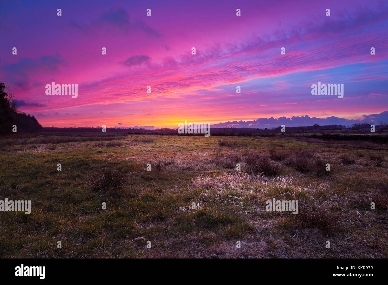 Un coucher de soleil sur violet hesel Banque D'Images