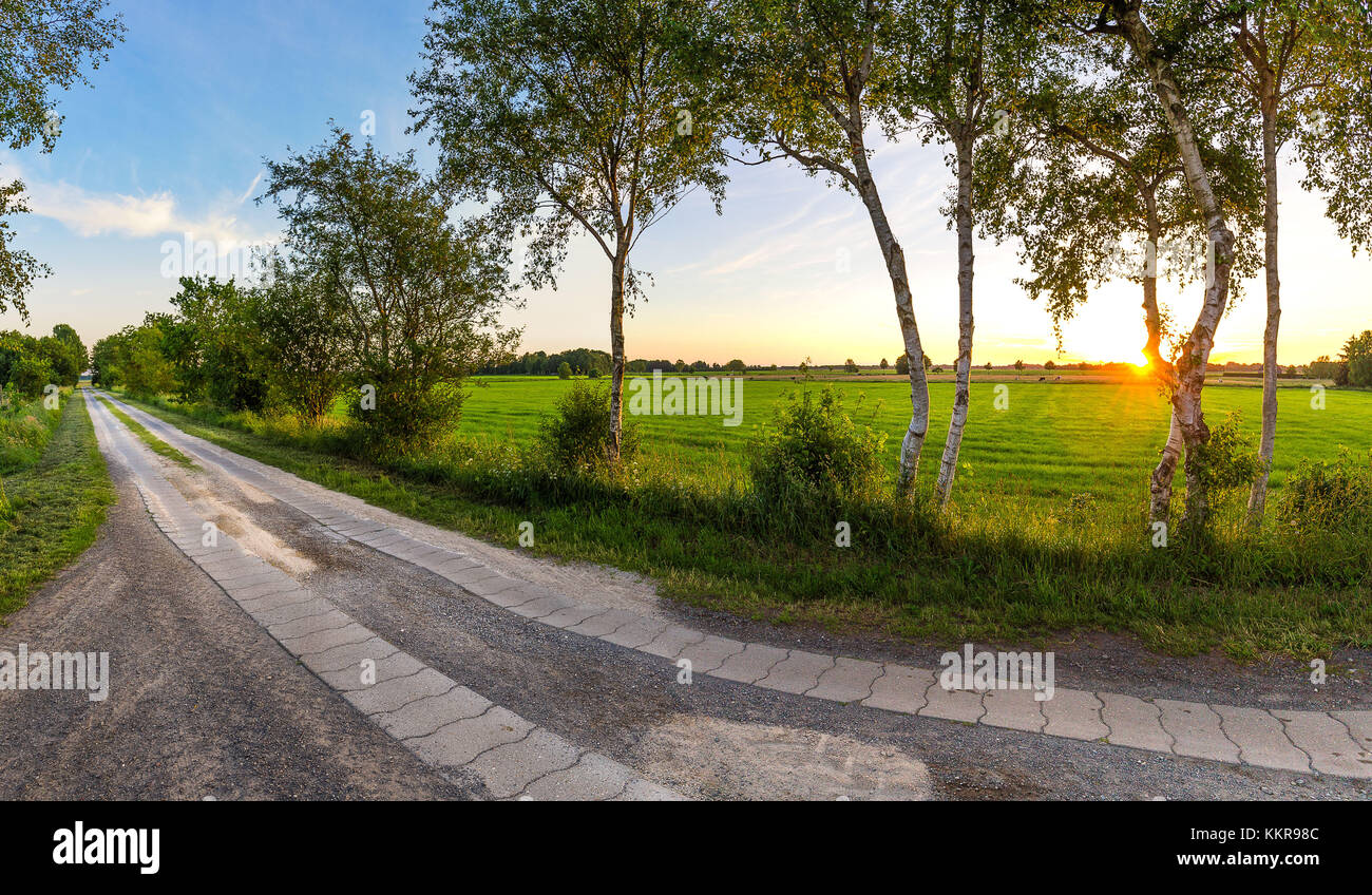 Une route de campagne dans la région de Frise orientale au coucher du soleil Banque D'Images