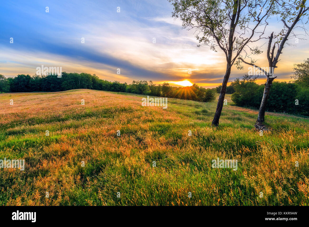 Un coucher de soleil près de entre hesel et marcardsmoor en Frise orientale Banque D'Images
