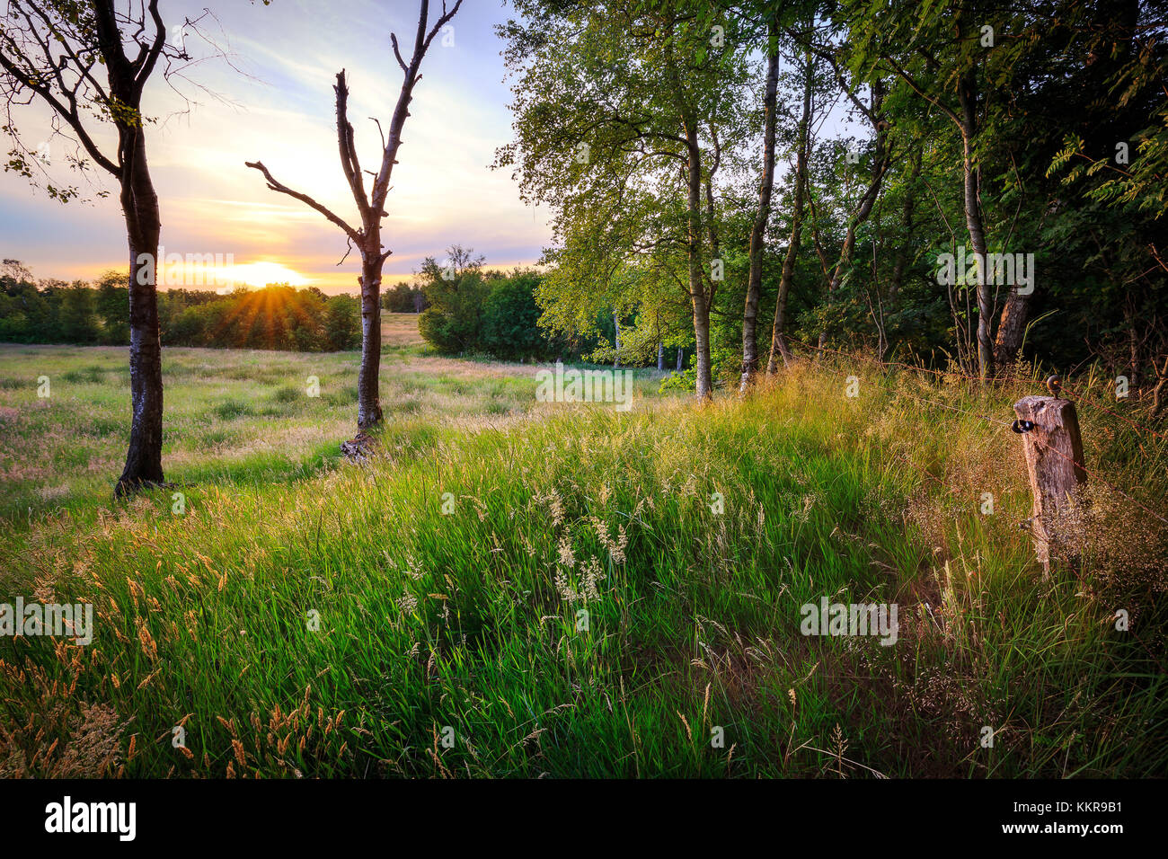 Un coucher de soleil près de entre hesel et marcardsmoor en Frise orientale Banque D'Images