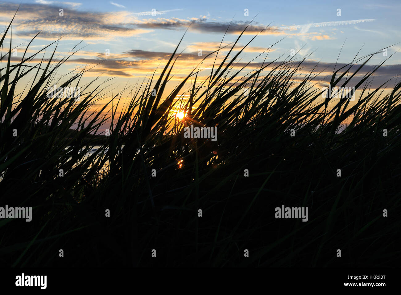 Plage de l'herbe sur la frontière de l'Allemagne et Pays-Bas près de nieuwe statenzijl, coucher du soleil Banque D'Images