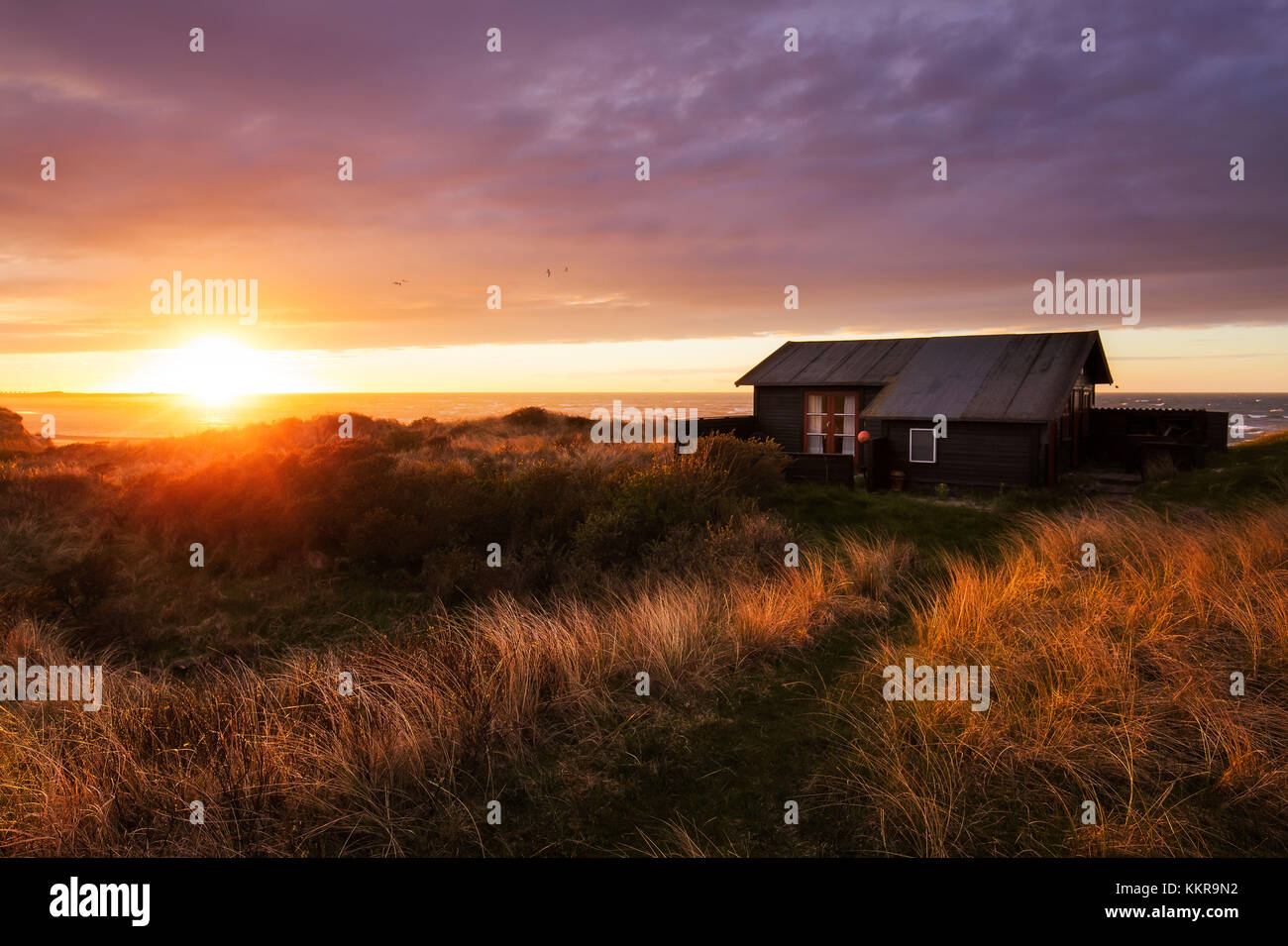 Maison dans les dunes au coucher du soleil sur une plage près de Hirtshals. Banque D'Images