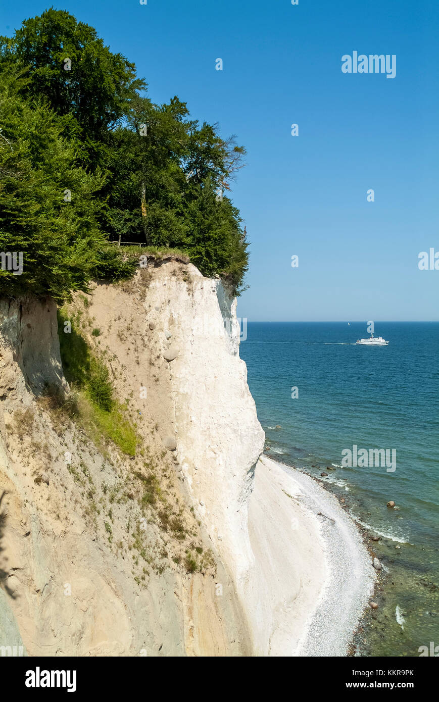 Avis de Königsstuhl Président du Roi est la célèbre falaise de craie sur l'île de Rügen, parc national de Jasmund. Banque D'Images