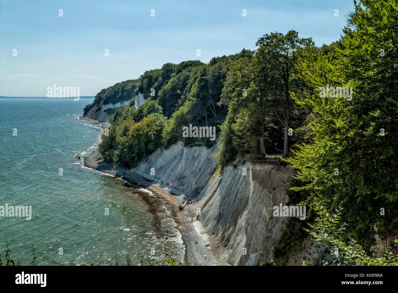 Avis de Königsstuhl Président du Roi est la célèbre falaise de craie sur l'île de Rügen, parc national de Jasmund. Banque D'Images