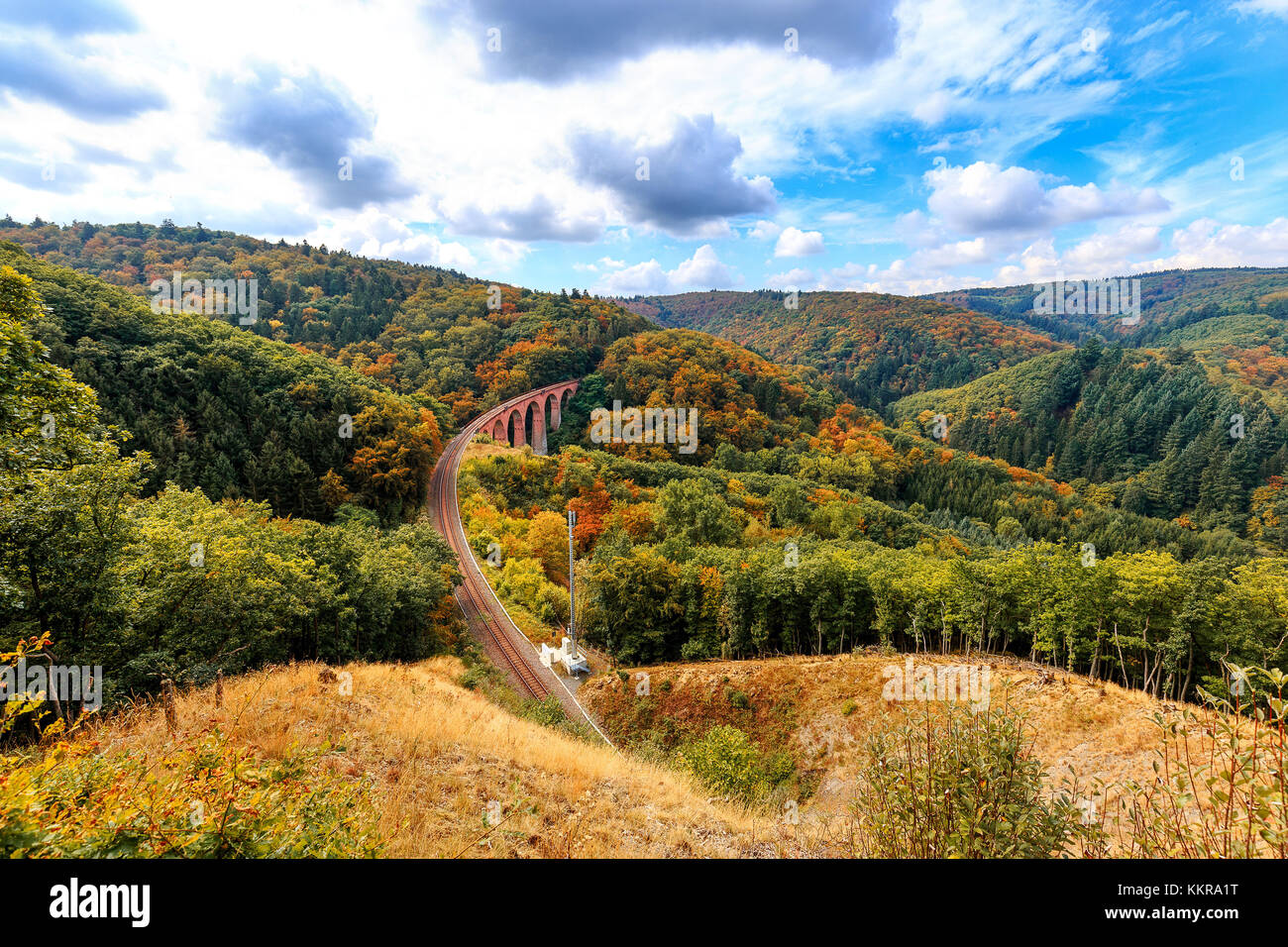 Viaduc Ferroviaire près de Boppard à moselle Banque D'Images