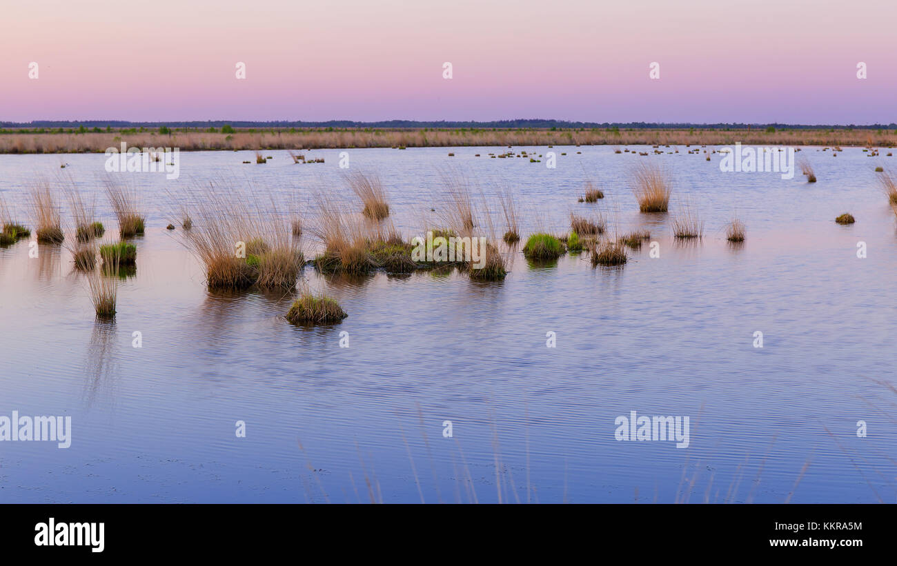 Le moorerlebnispfad stapeler le coucher du soleil à moor près de uplengen Banque D'Images