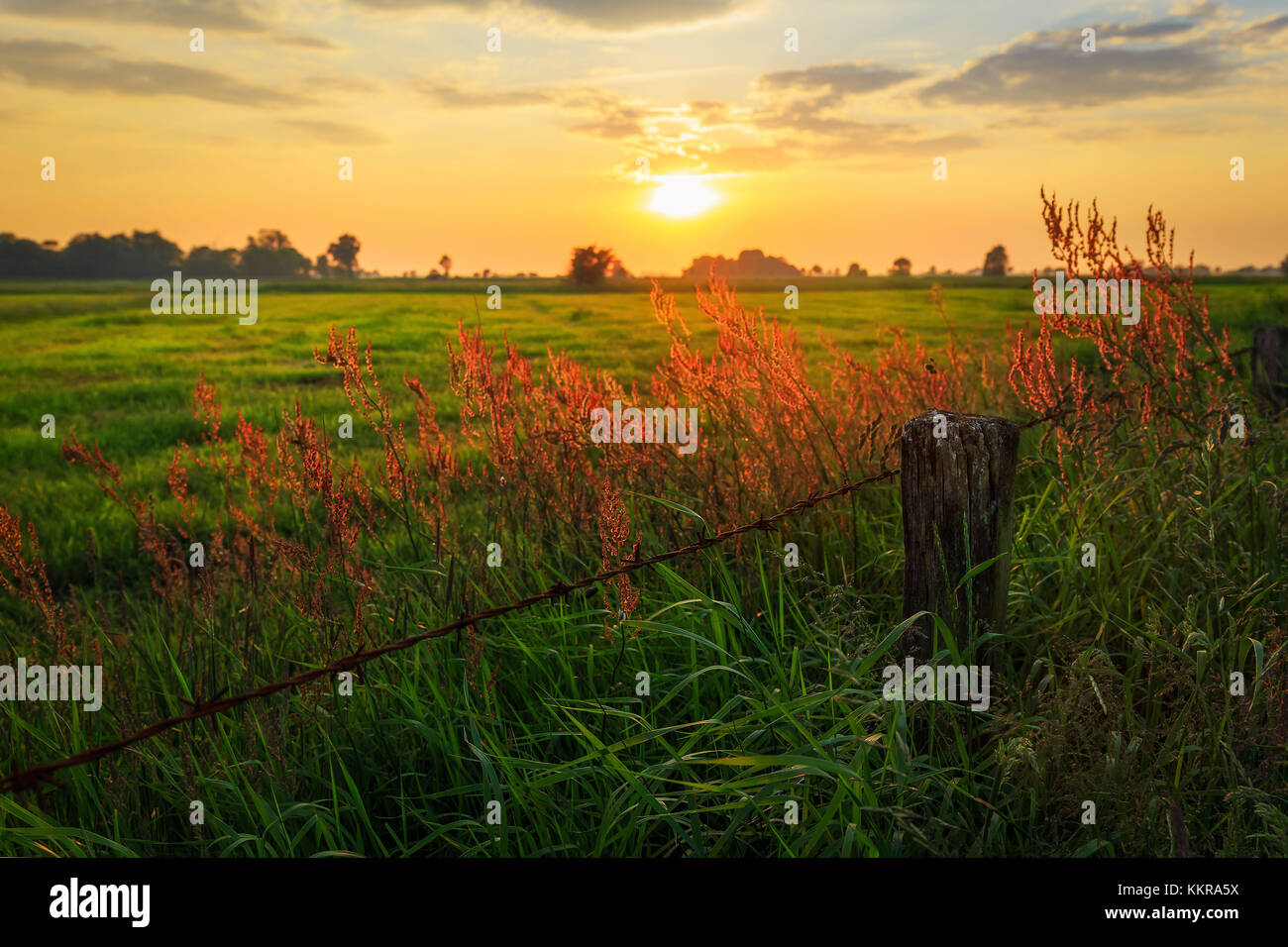 Coucher du soleil à la rivière harle près du village funnix Banque D'Images