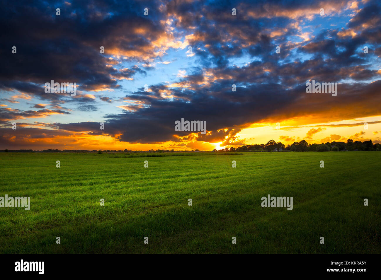Dans eastfrisia au coucher du soleil un jour d'été Banque D'Images