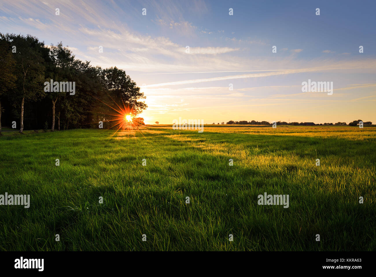 Dans eastfrisia au coucher du soleil un jour d'été Banque D'Images