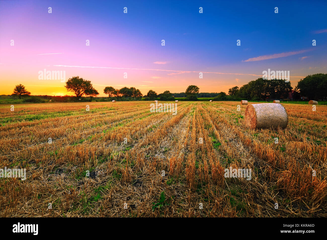 Coucher de soleil sur une prairie près du village de Marx Banque D'Images