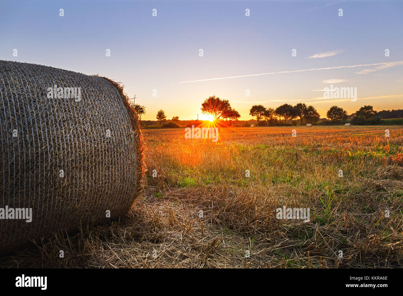 Coucher de soleil sur une prairie près du village de Marx Banque D'Images