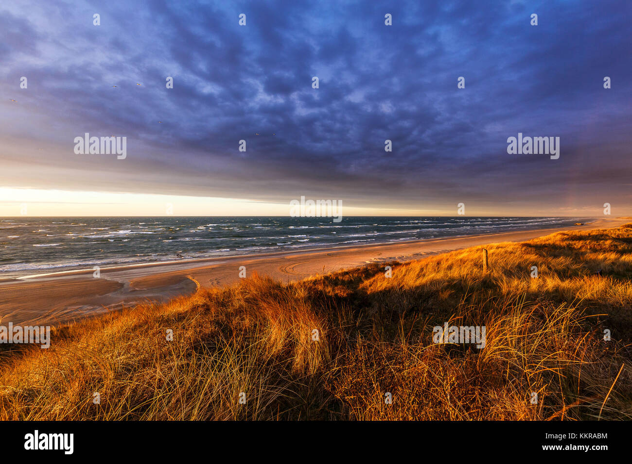 La plage à hirtshals, Danemark au coucher du soleil Banque D'Images