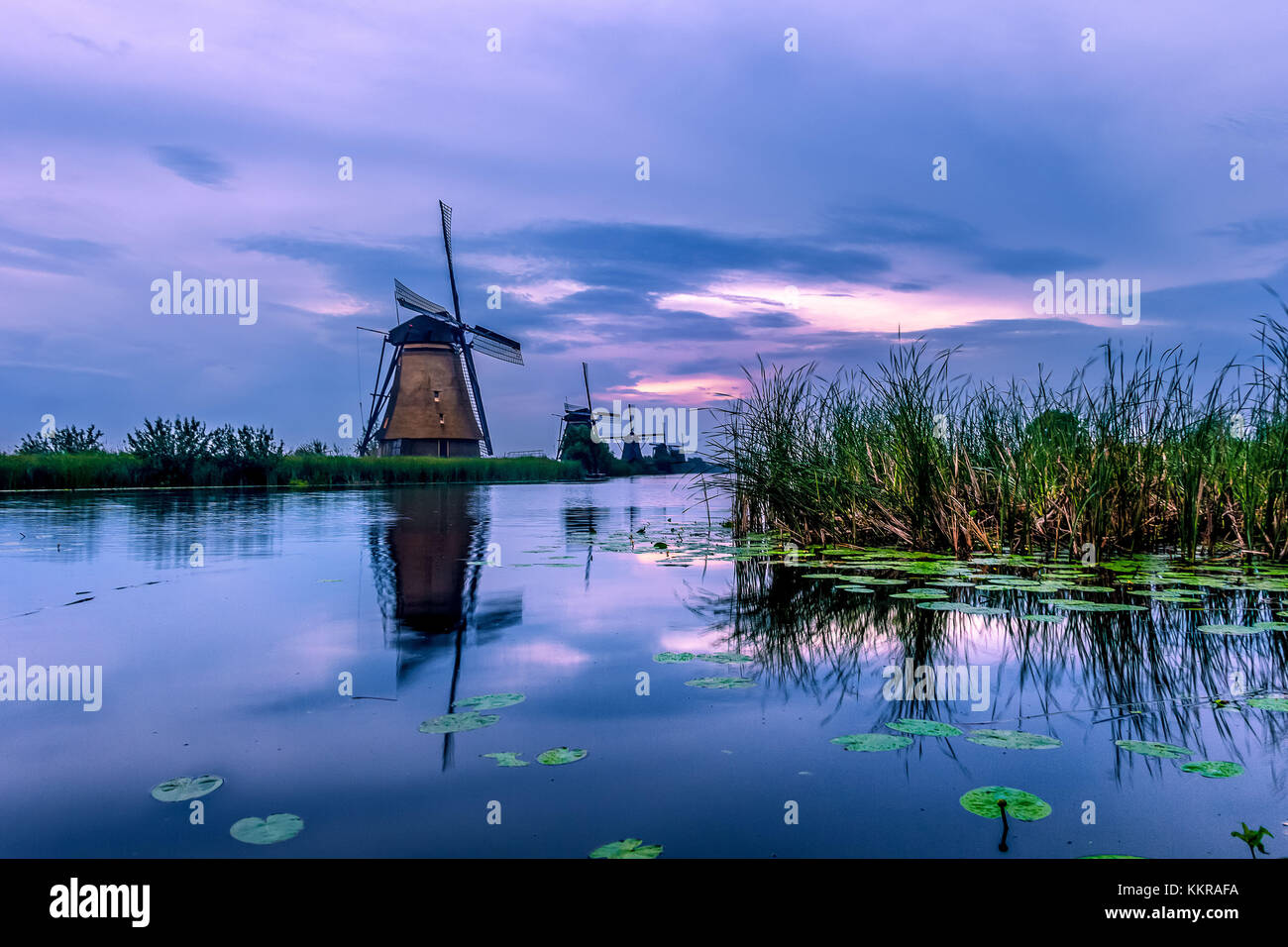 Les célèbres moulins de Kinderdijk aux Pays-Bas Banque D'Images